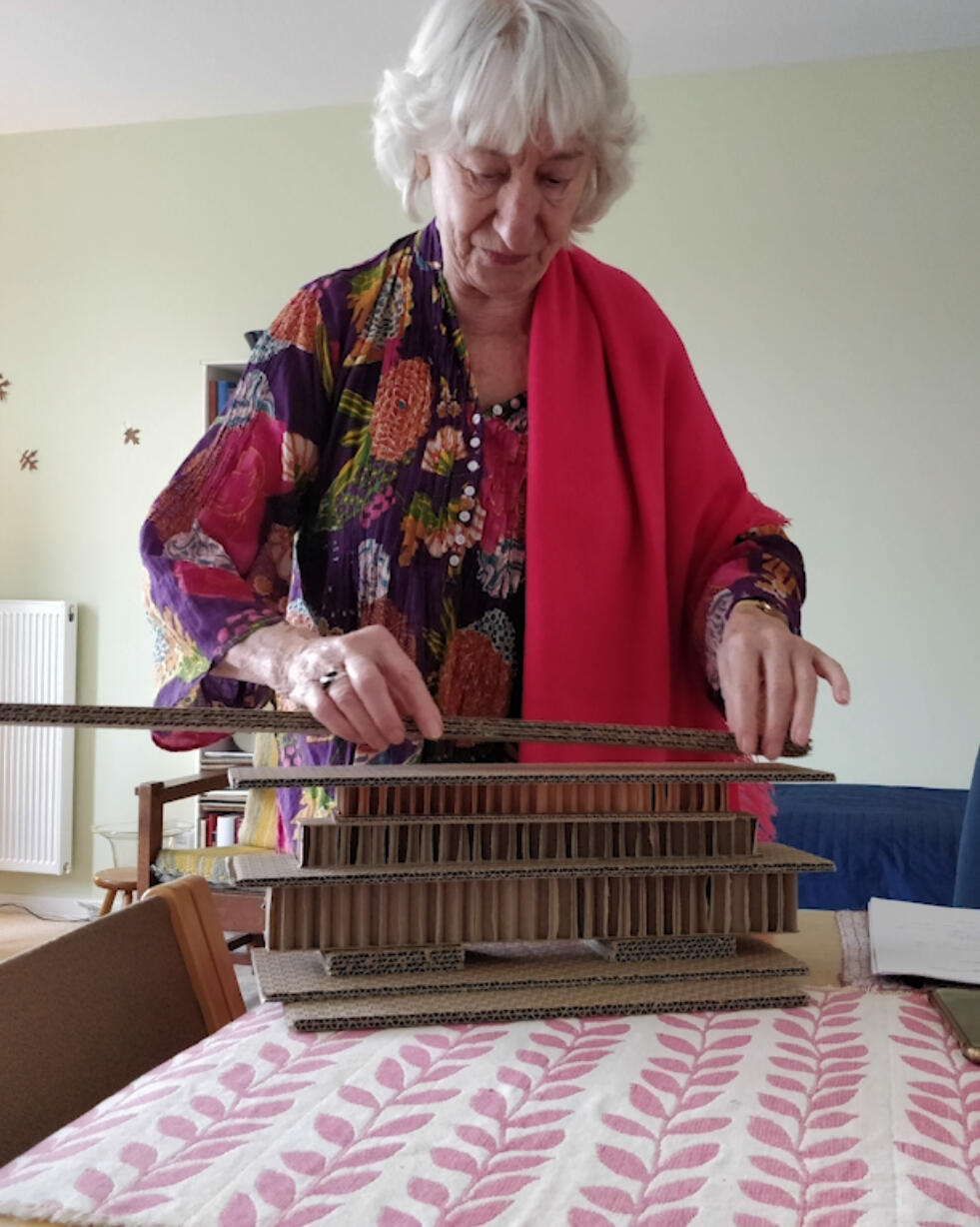 Een Nacht Onder Het Beukenboomwoud